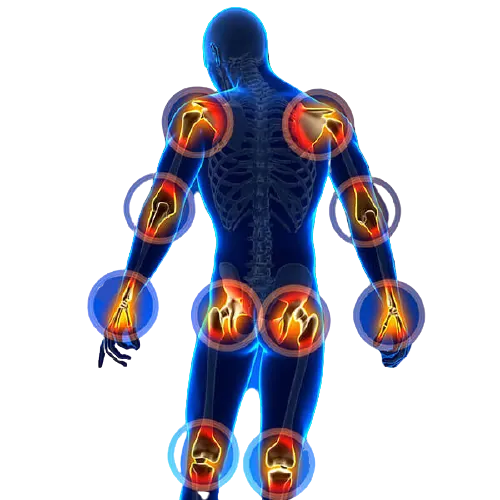 Neuro-Ortho-Rehab
